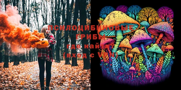 мдпв Балабаново