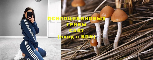мдпв Балабаново